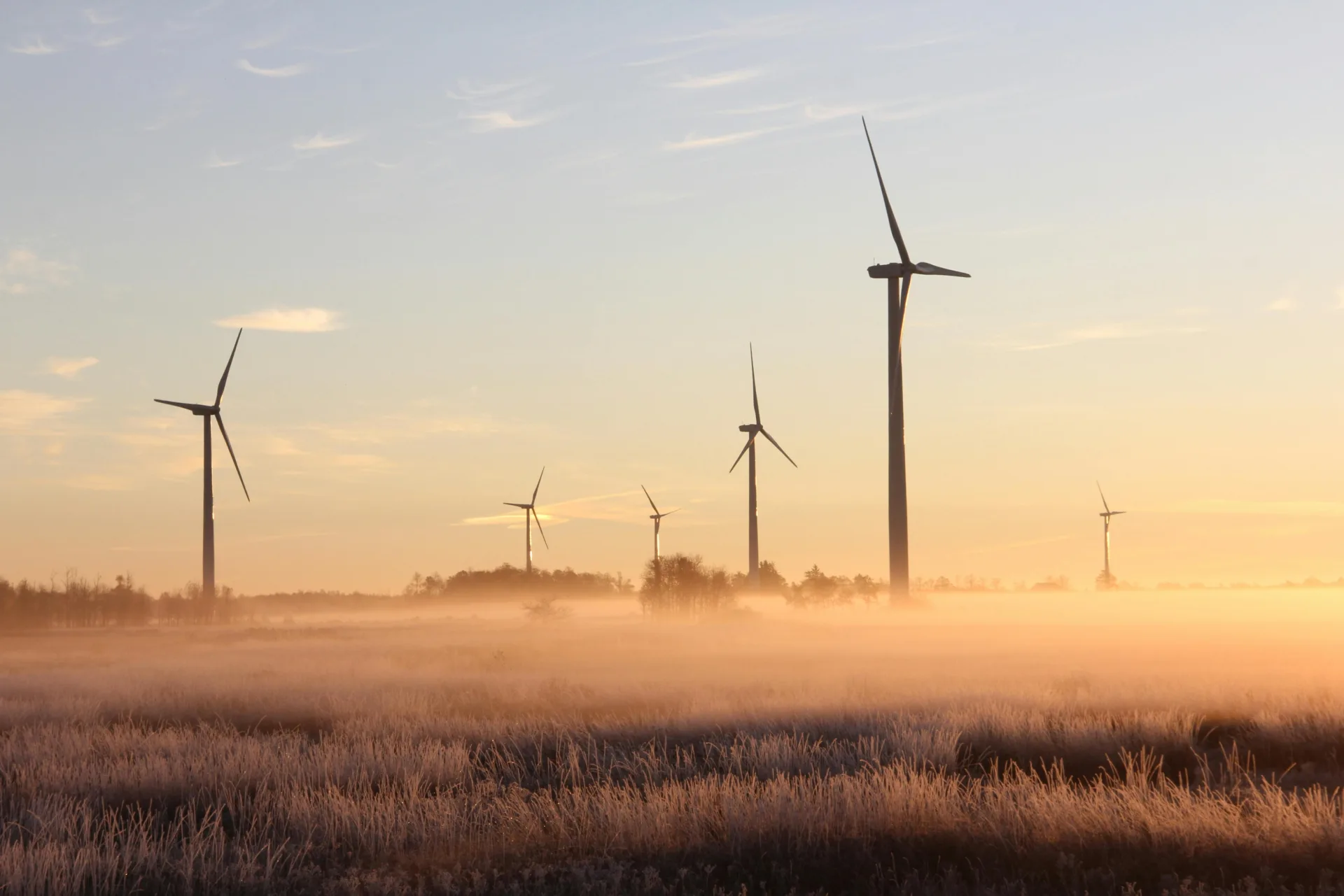 Aerogeneradores al atardecer en un campo abierto